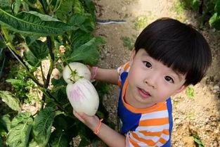 娱乐吃瓜酱不幸的童年,揭开不幸童年的伤疤