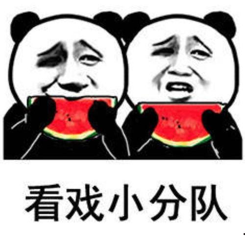 吃瓜表情包图片大全,吃瓜表情包大盘点