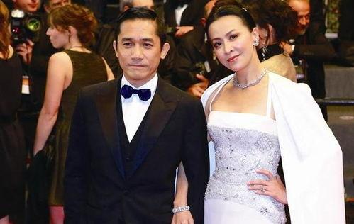 娱乐圈吃瓜吃累了