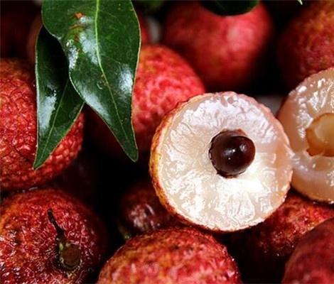 荔枝娱乐圈吃瓜爆料,荔枝吃瓜爆料，明星幕后故事大曝光